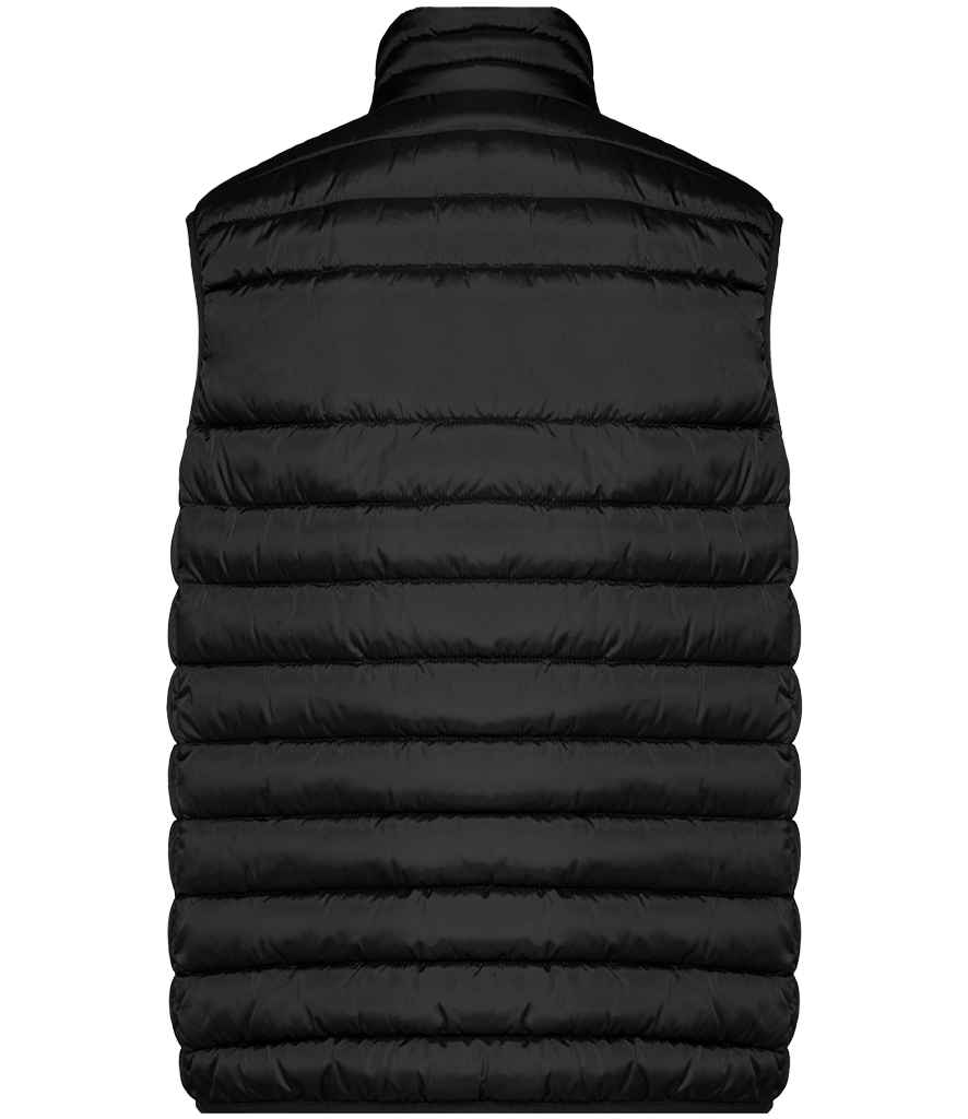 Back View