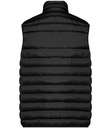 Back View