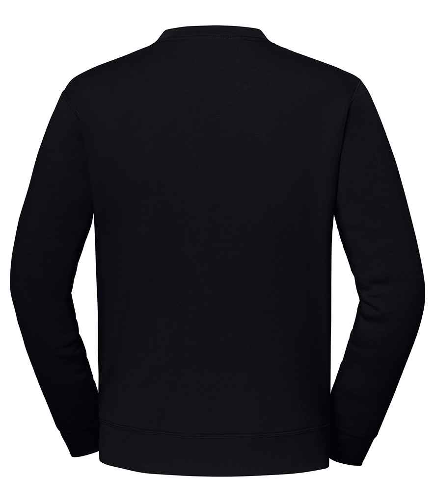Back View