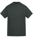 Anthem Amplify Heavyweight T-Shirt